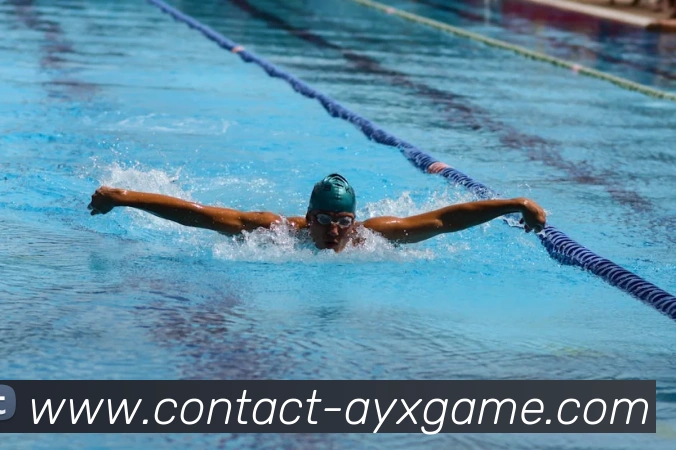 多媒体互动体验